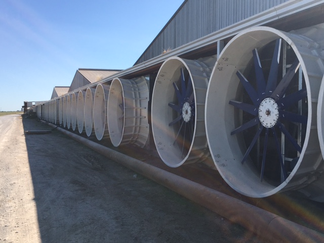 Row of Beast Fans along a dairy barn wall providing exhaust ventilation