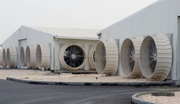 Multiple Agpro Beast Fans installed between dairy barns