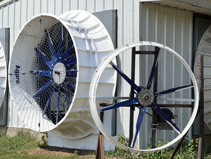 beast and Dwarf fans shown together