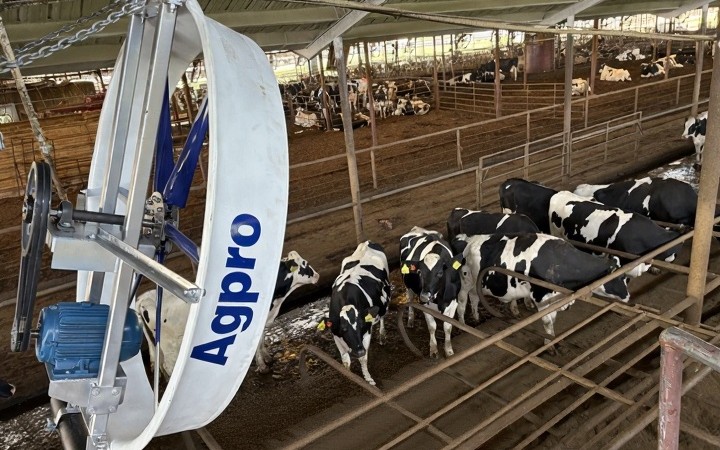 Circulation fan directing airflow across cows at the feed lane