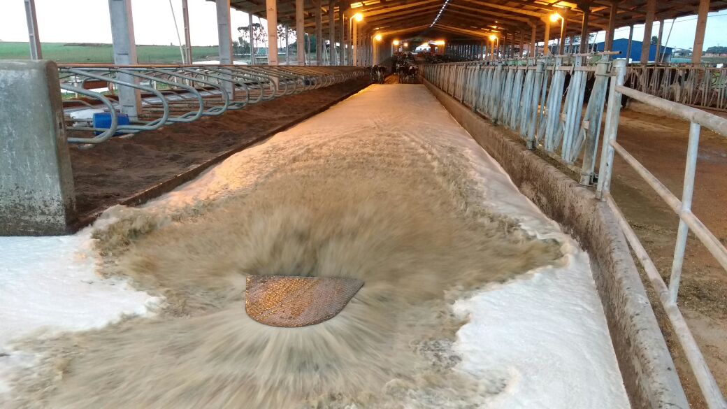 SF12x20 MKII (4) Dairy barn misting system for evaporative cooling