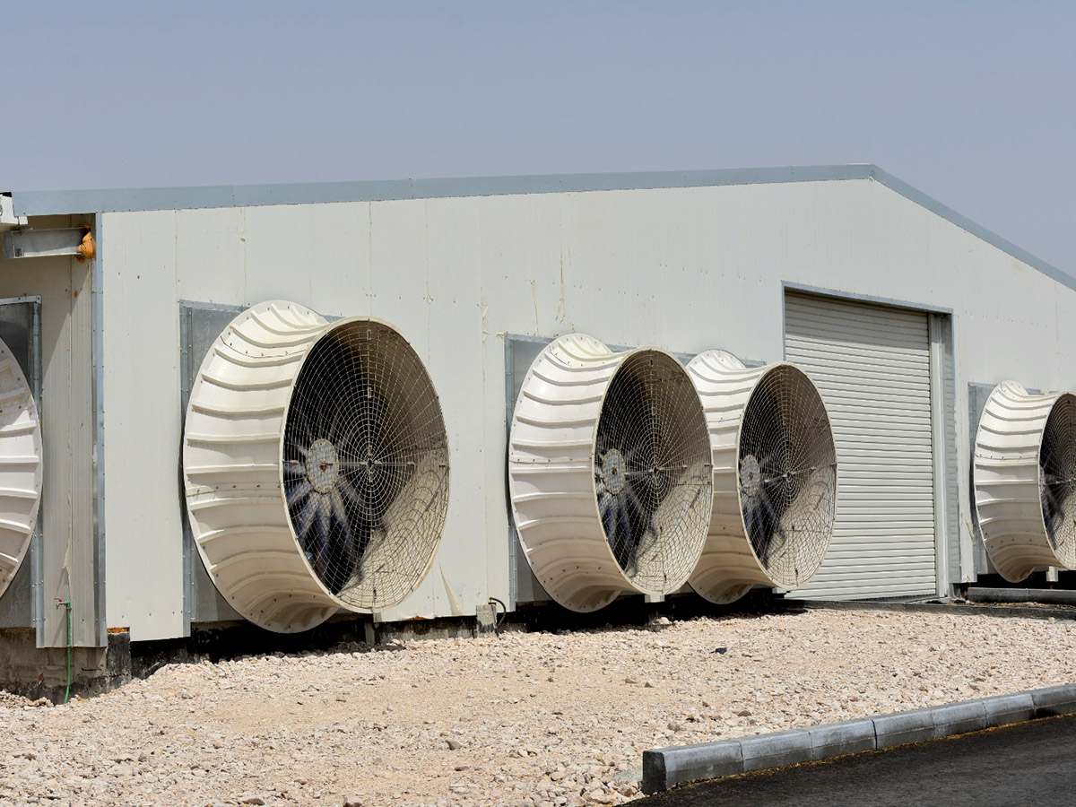 Beast-Tunnel_Cropped Cow cooling with feedline soaking nozzle above headlocks
