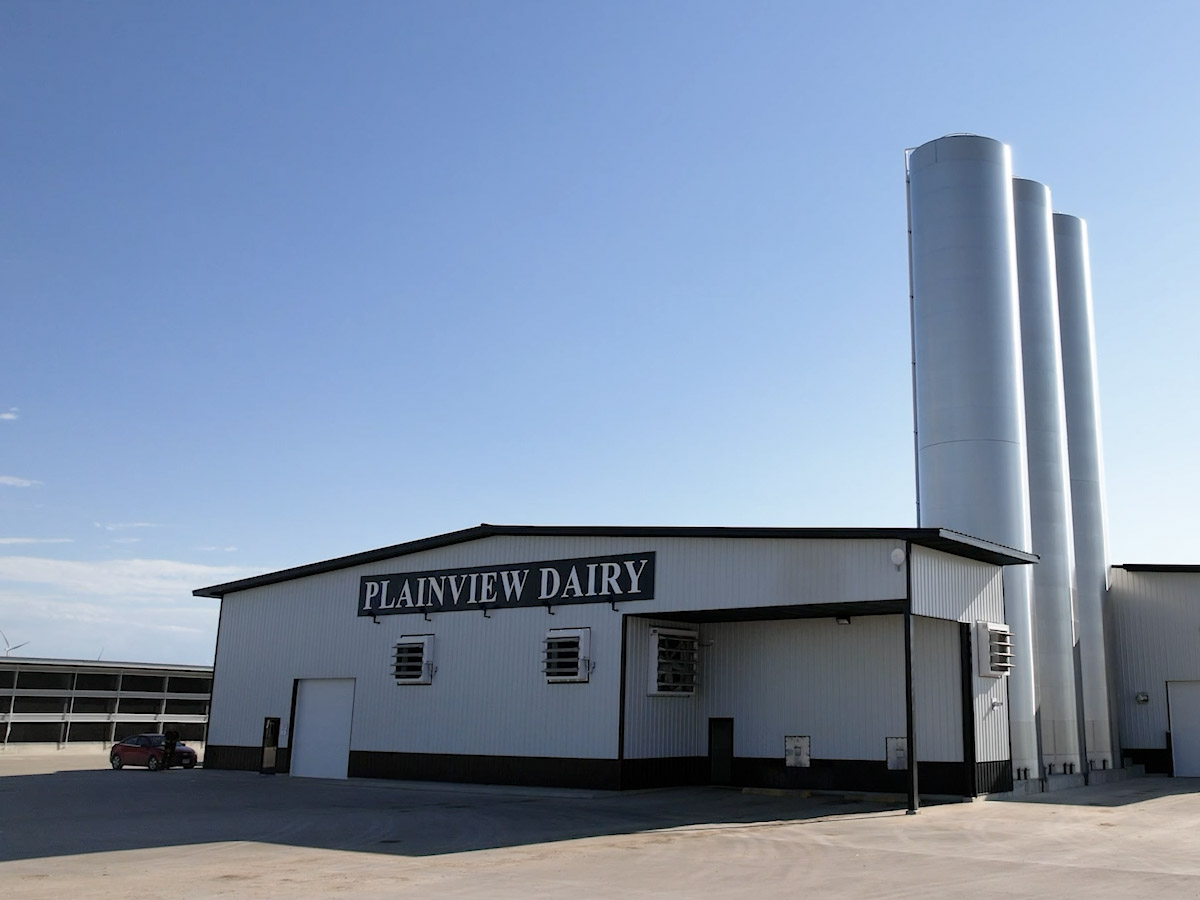 Plainview Dairy_Sign beast and Dwarf fans shown together